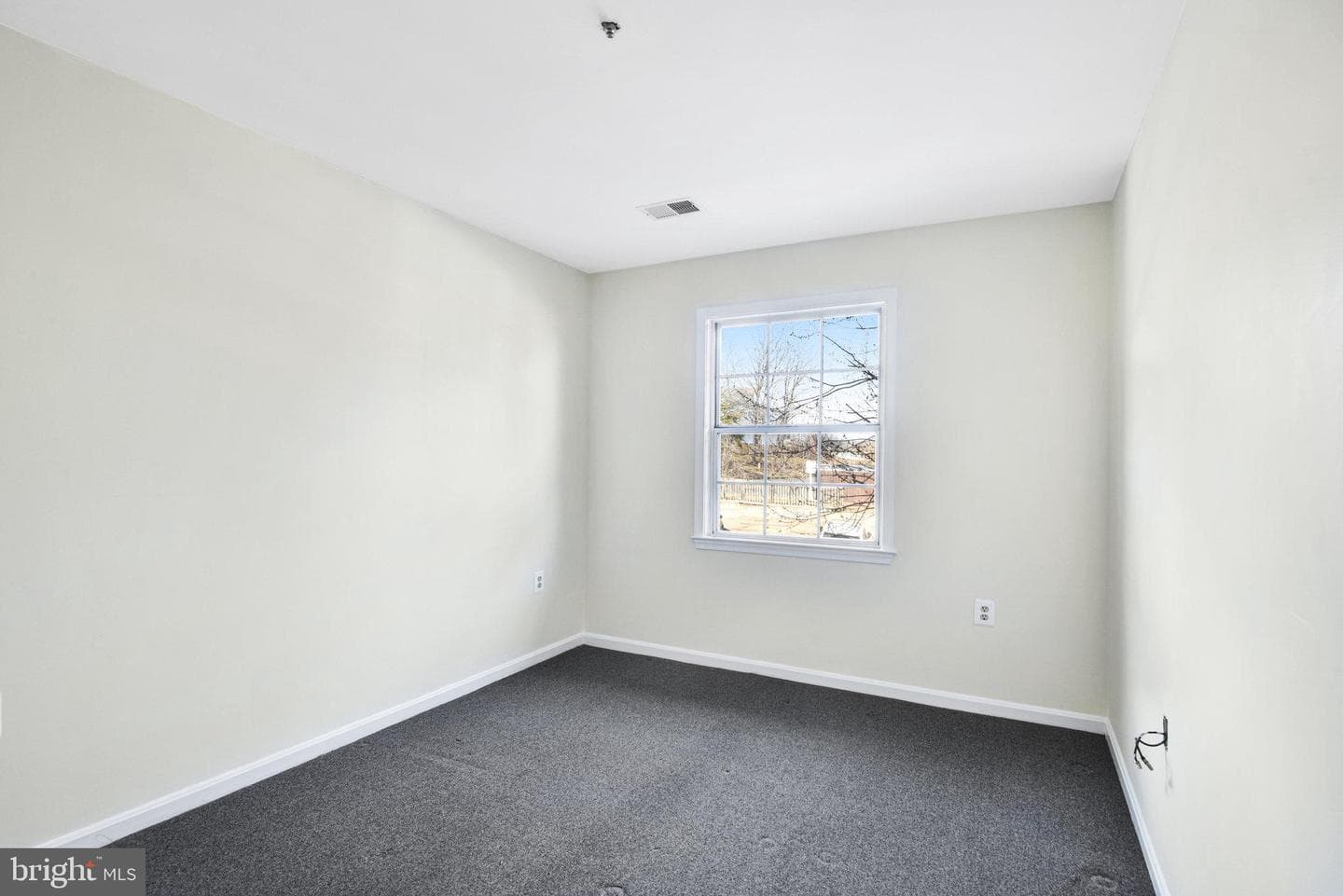 11133 Halterpath Trail photo 11