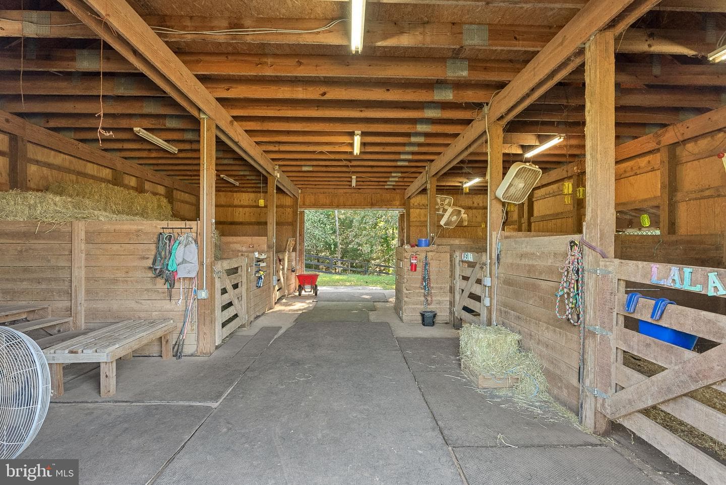 9801 Alydar Court photo 46