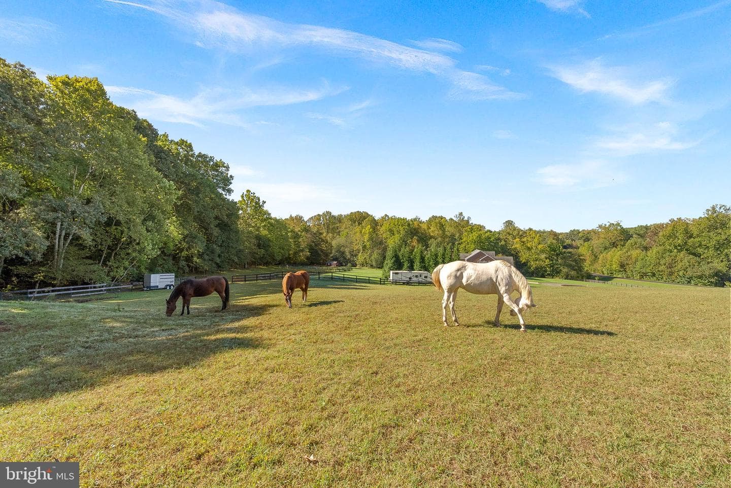 9801 Alydar Court photo 48