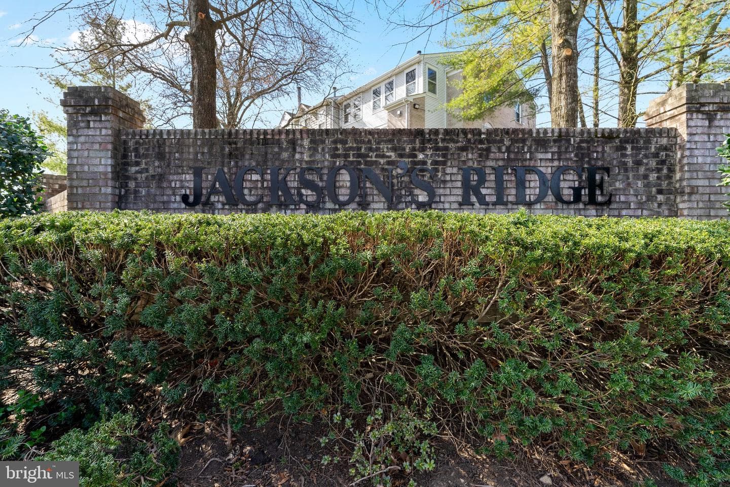 11140 Stagestone Way photo 33