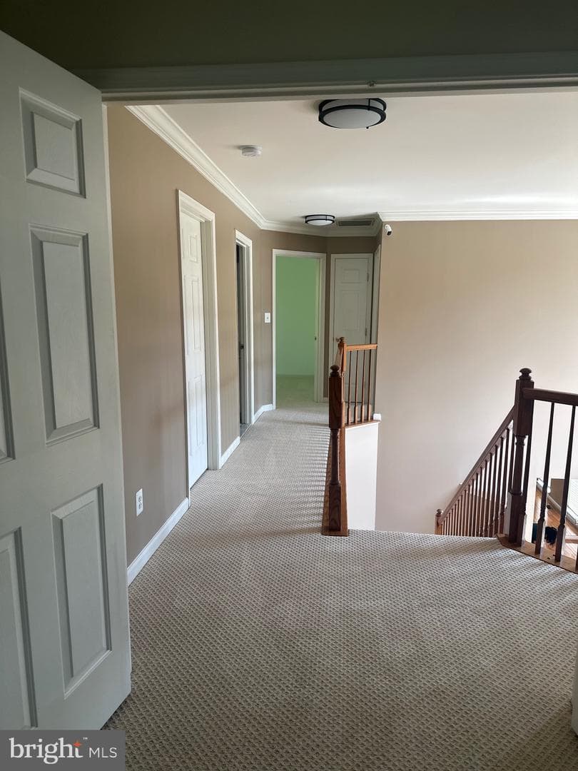 12054 Mouser Place photo 21