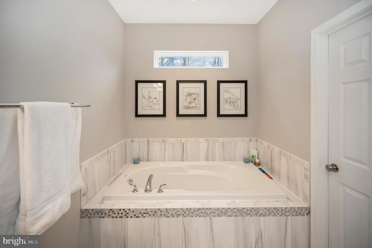 10284 Mayapple Court photo 40