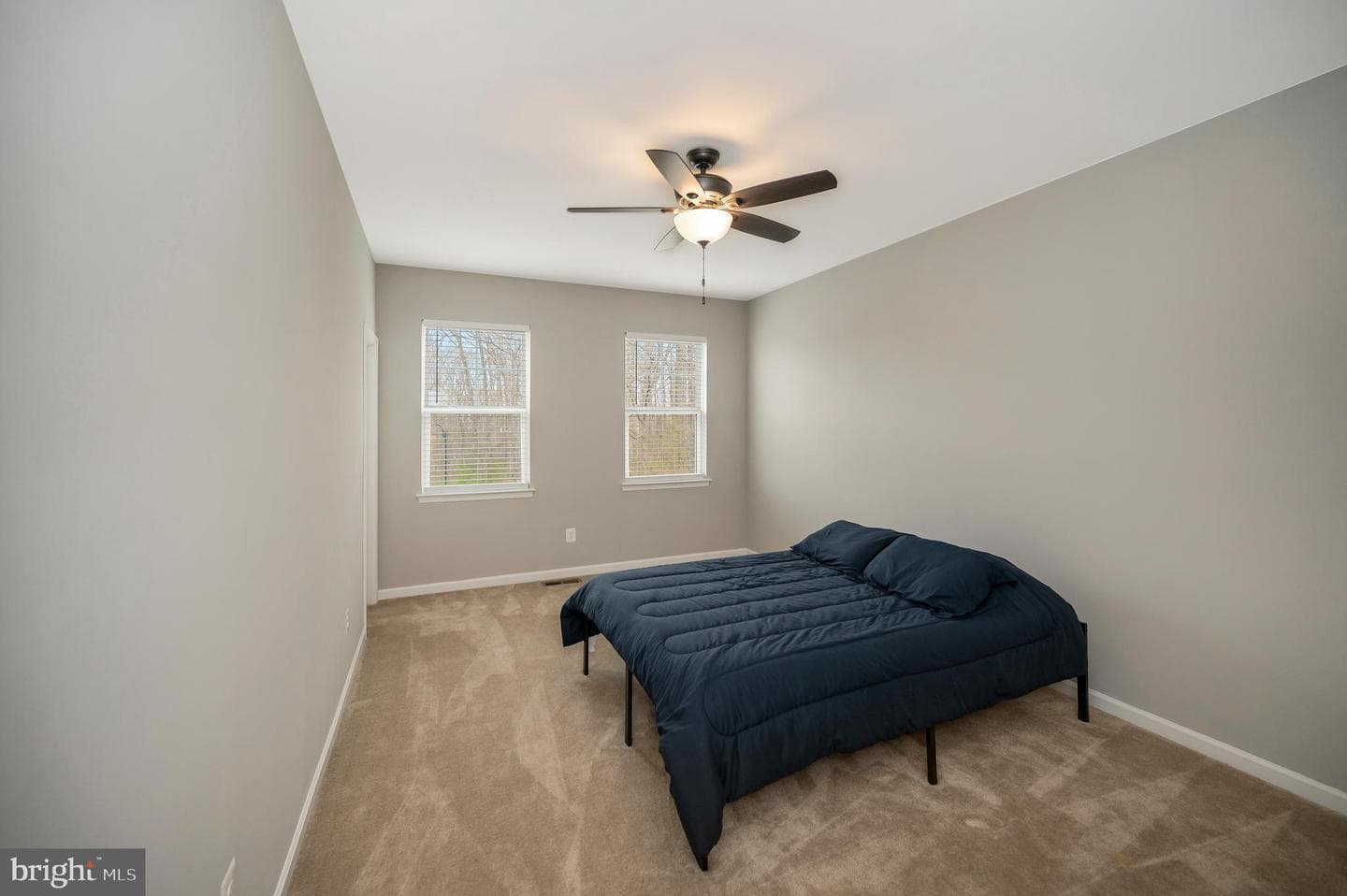 10284 Mayapple Court photo 42