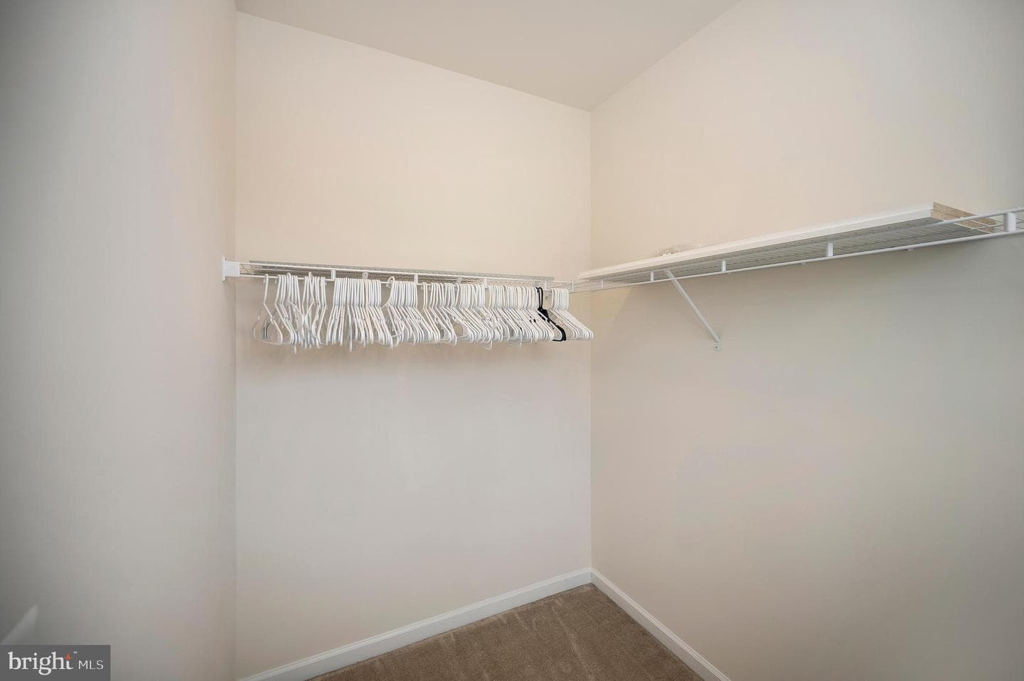 10284 Mayapple Court photo 43