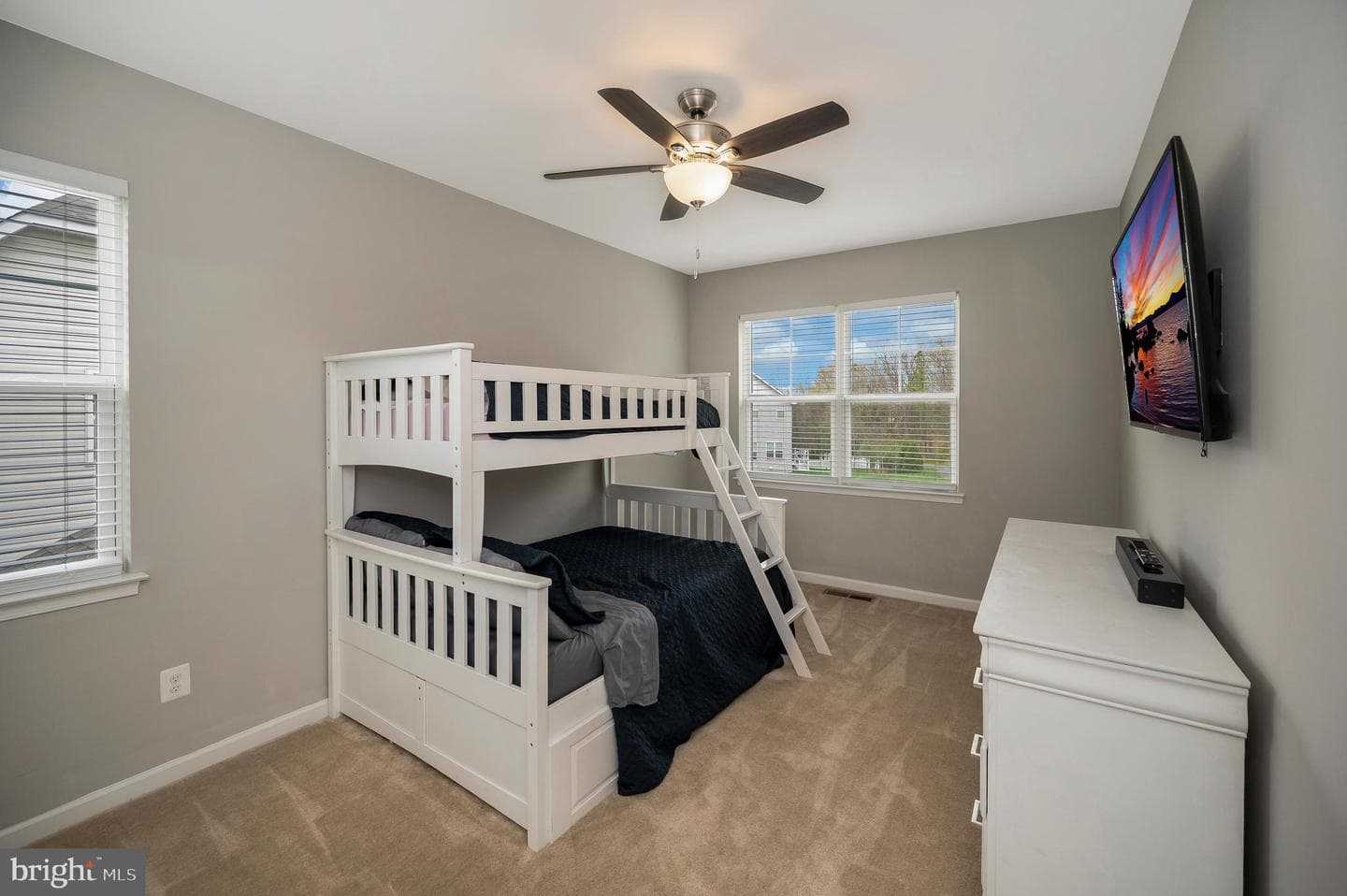10284 Mayapple Court photo 45