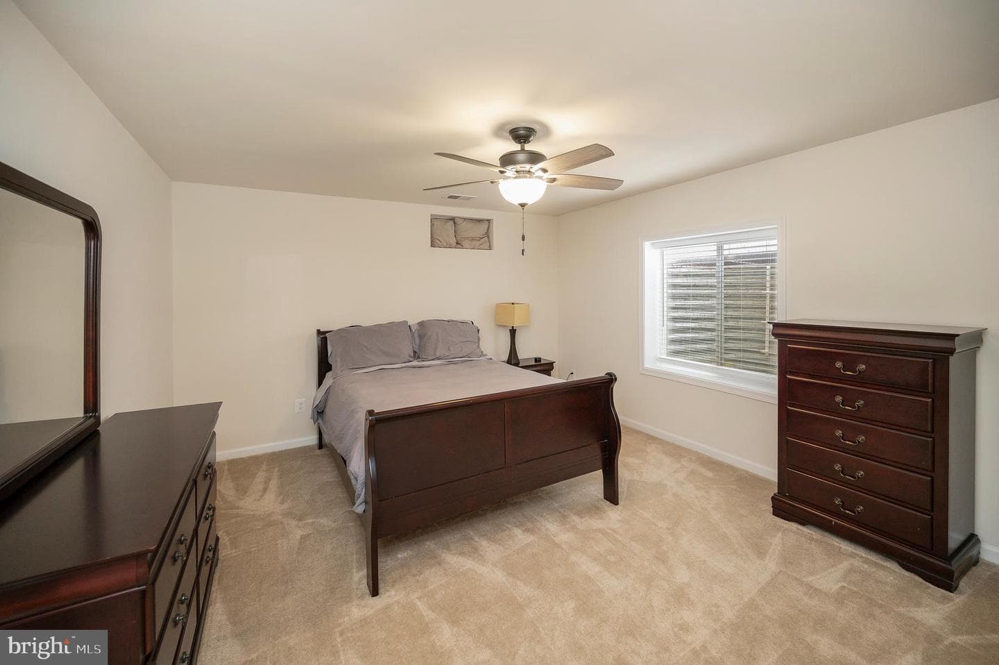 10284 Mayapple Court photo 55