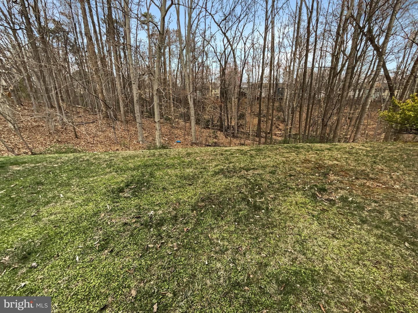 5145 Spring Branch Boulevard photo 44