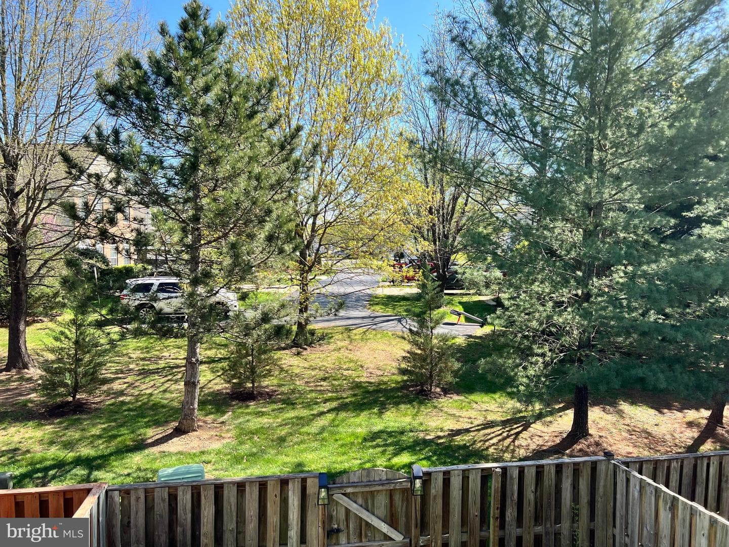 12039 Elliots Oak Place photo 20