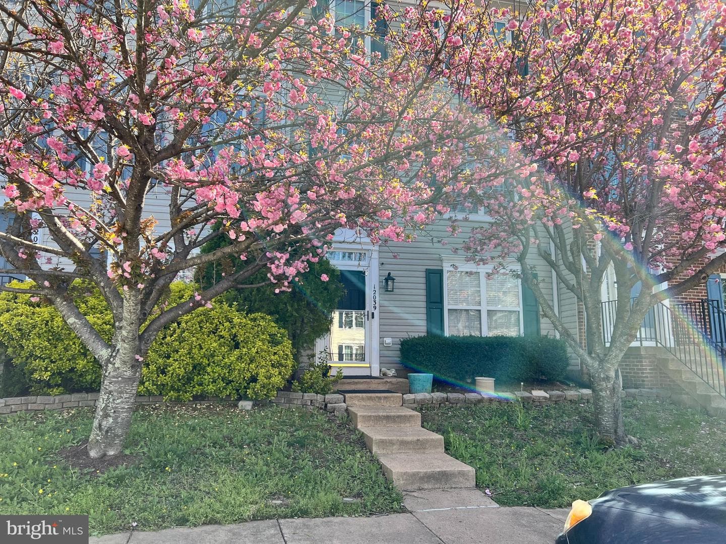 12039 Elliots Oak Place photo 3