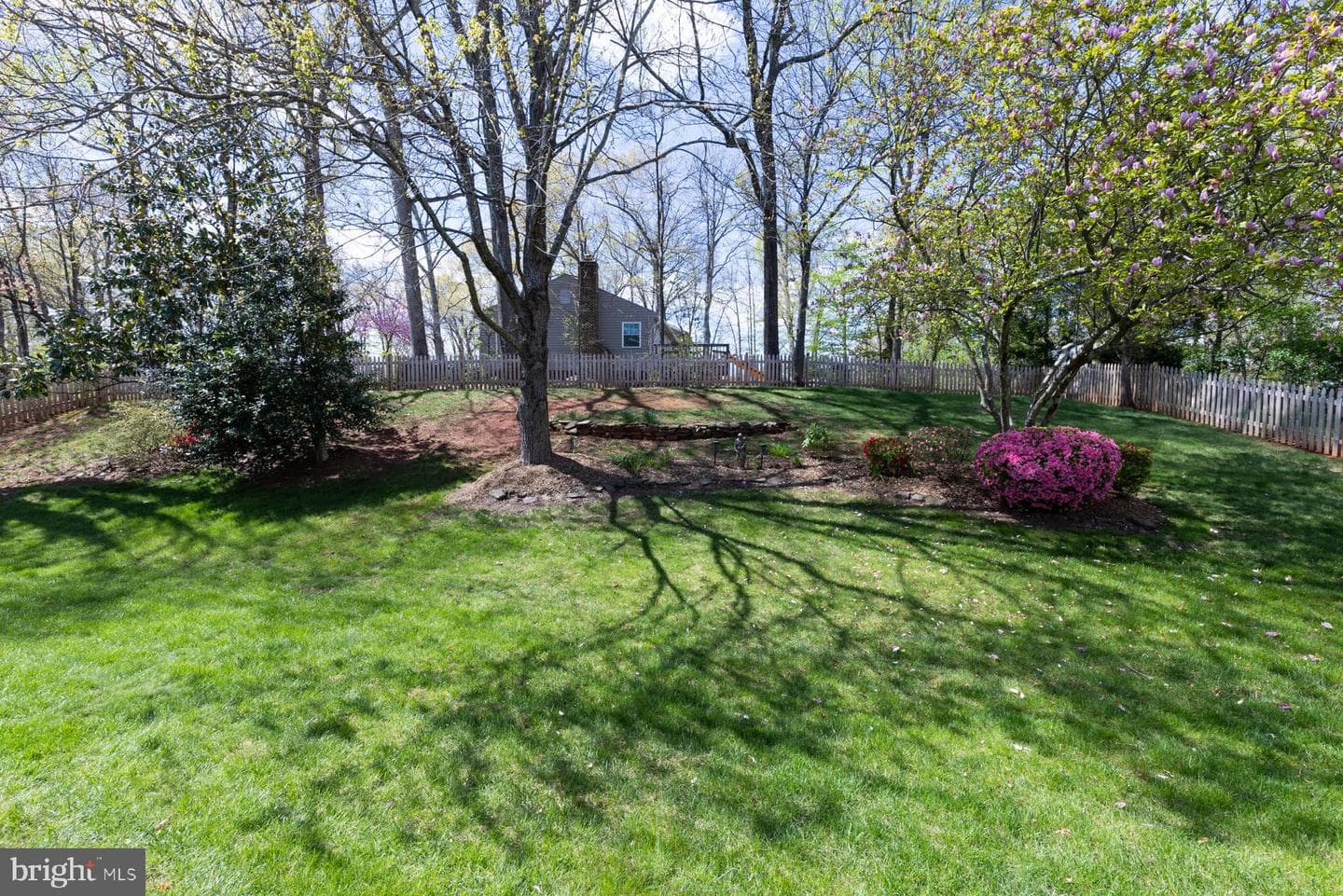 10377 Sorrell Drive photo 52