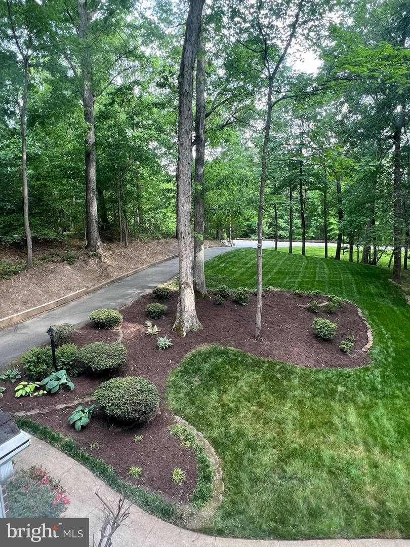 6870 Lodgepole Court photo 44