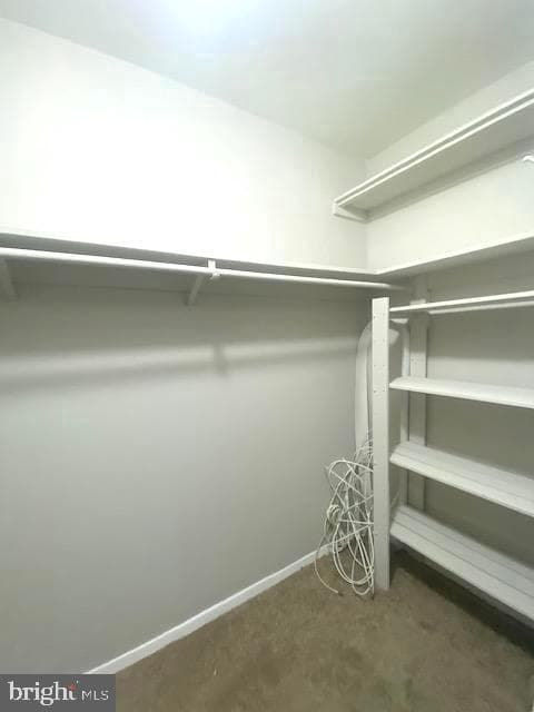 12703 Dara Drive #302 photo 17