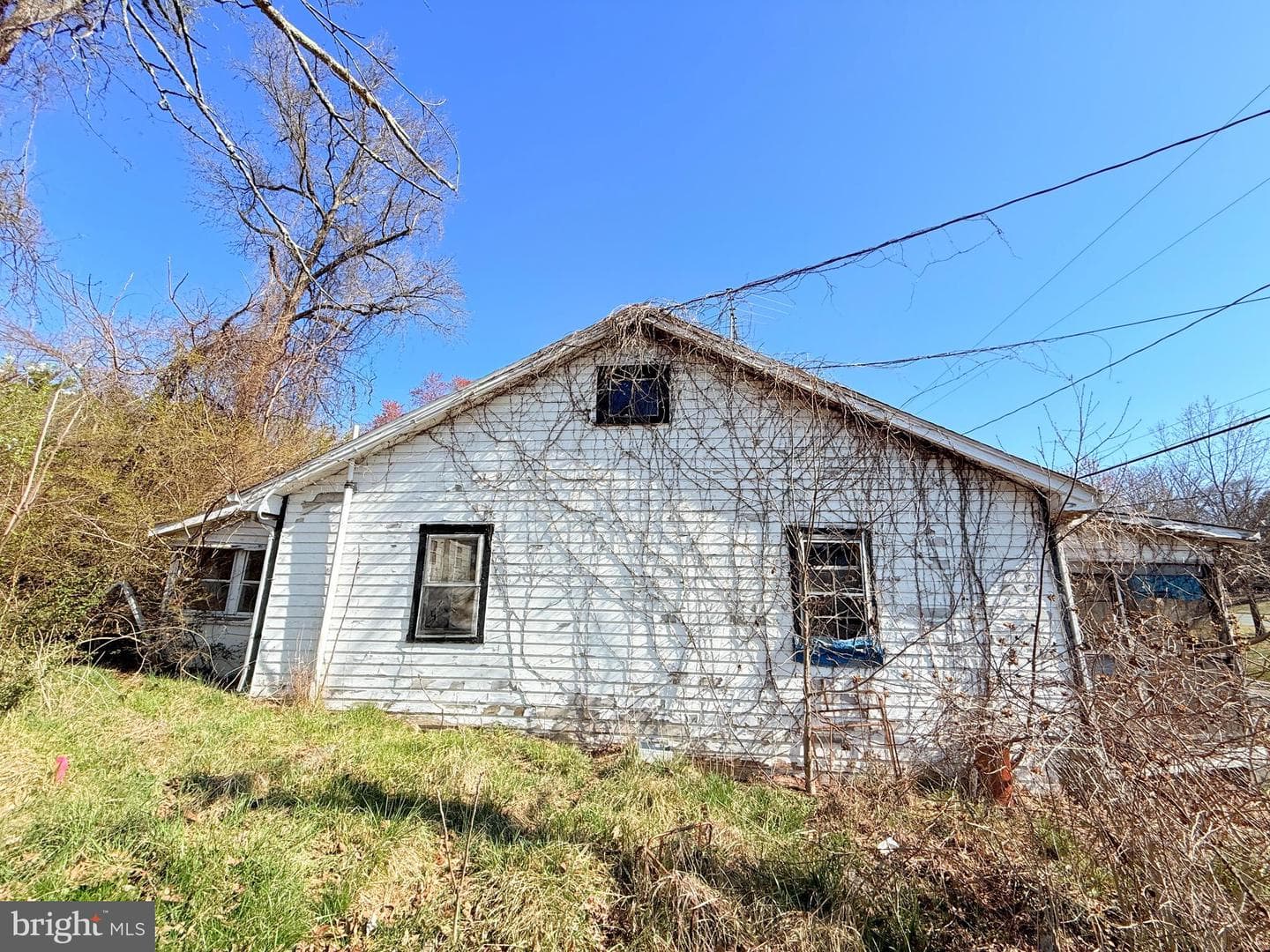 18512 Corby Street photo 5