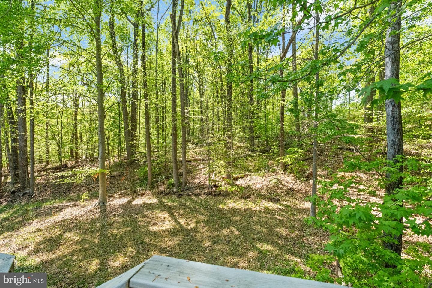 13600 Smithwood Court photo 48