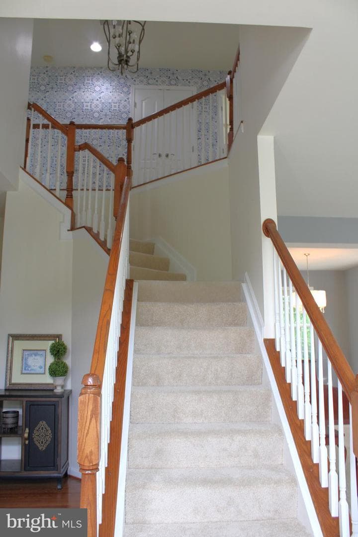 5344 Austra Place photo 26