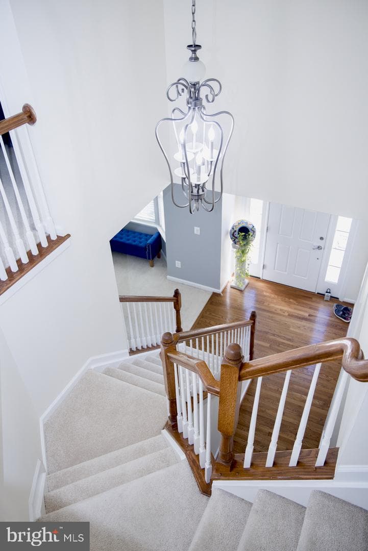 5344 Austra Place photo 34
