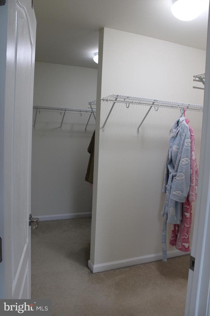 5344 Austra Place photo 72