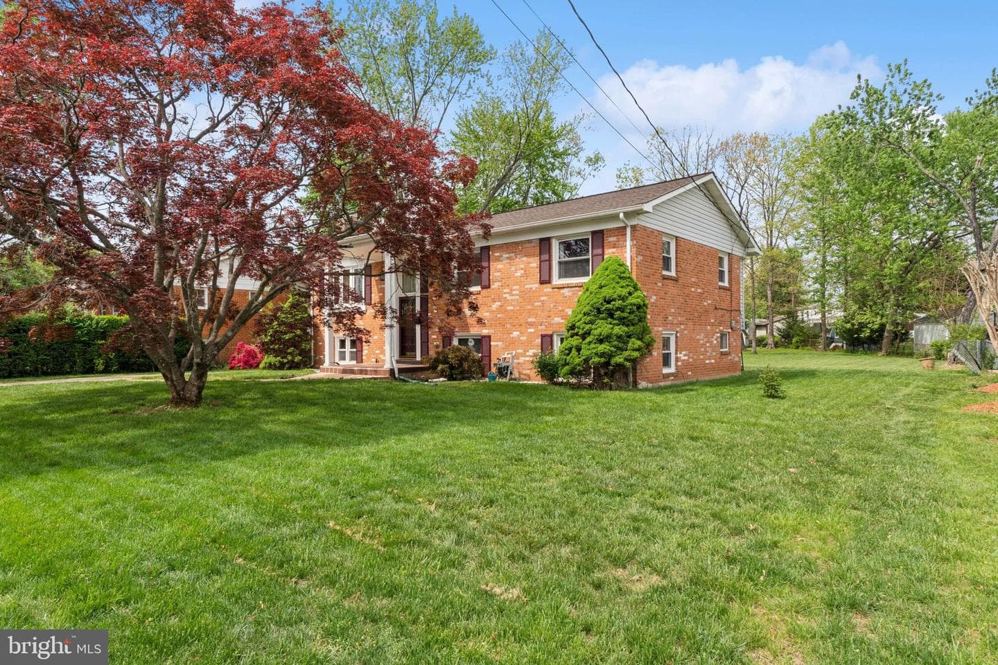 7904 Clifton Street photo 3