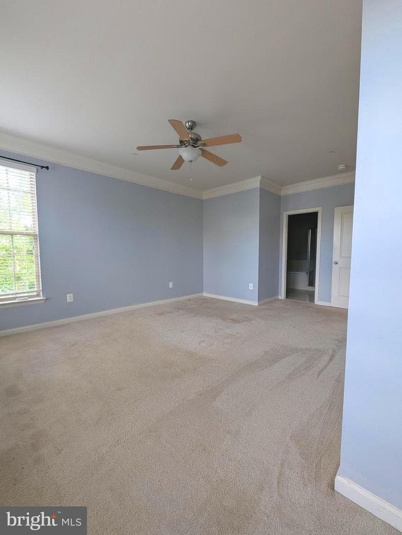 7848 Cedar Branch Drive photo 30