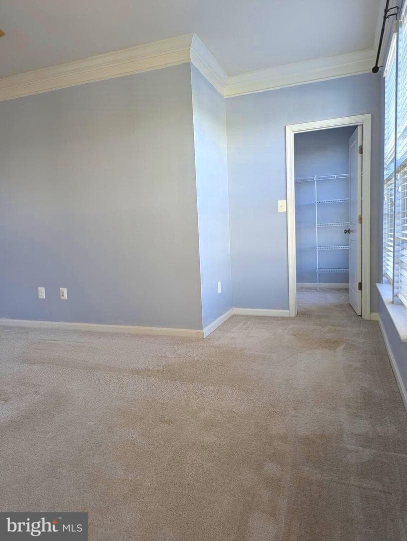 7848 Cedar Branch Drive photo 35