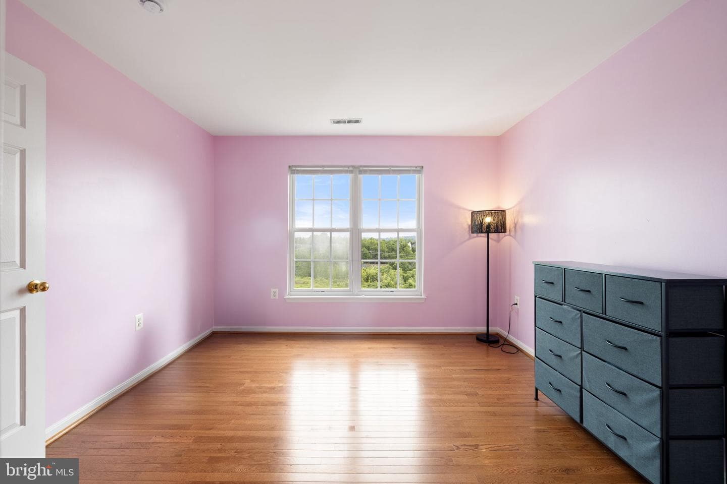 2806 Burrough Hill Lane photo 71