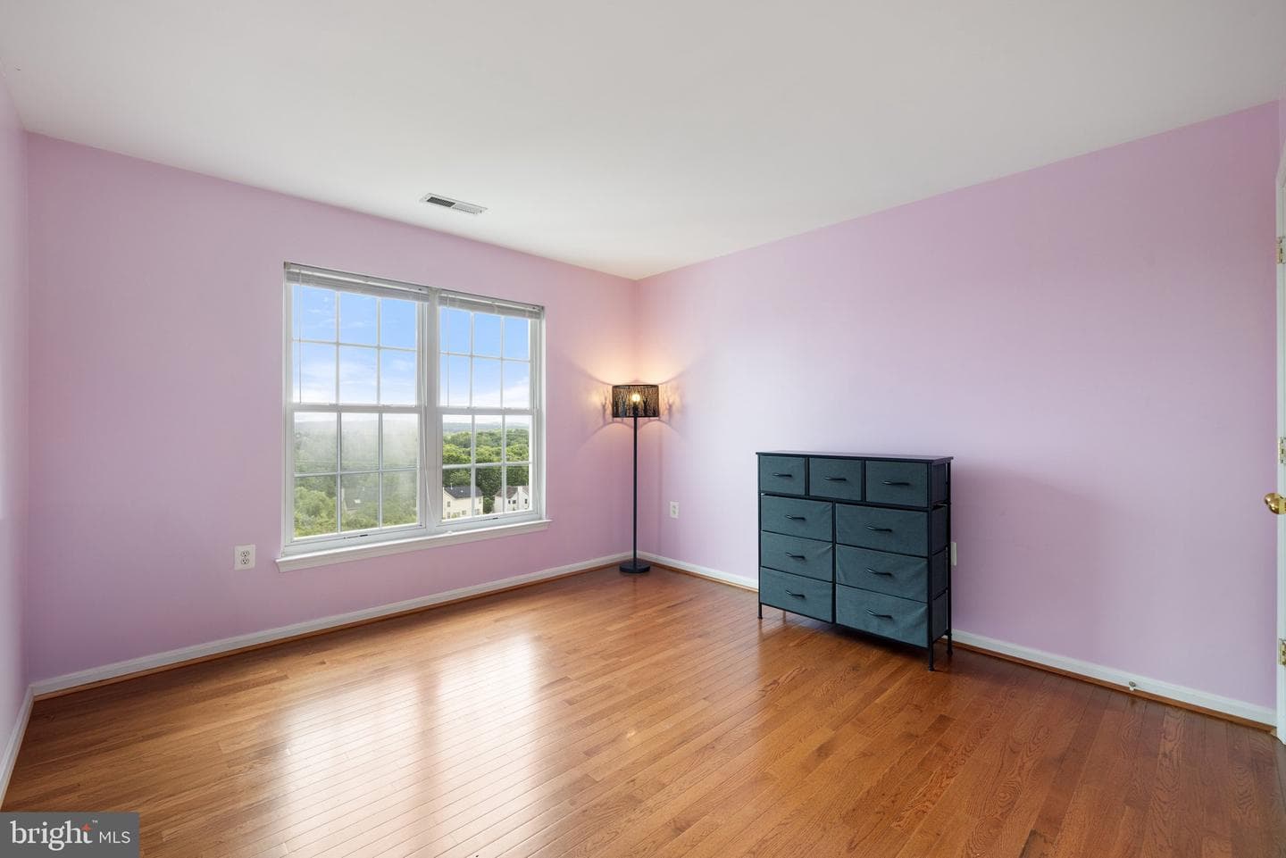 2806 Burrough Hill Lane photo 72