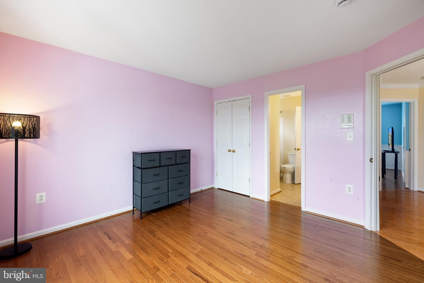 2806 Burrough Hill Lane photo 73