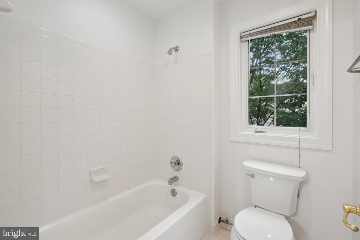13432 Classic Oaks Court photo 50