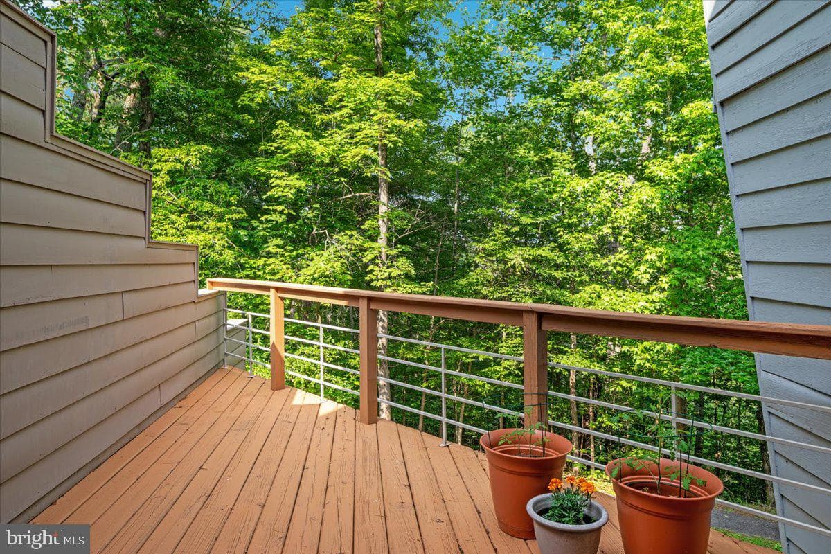 11656 Sandal Wood Lane photo 51