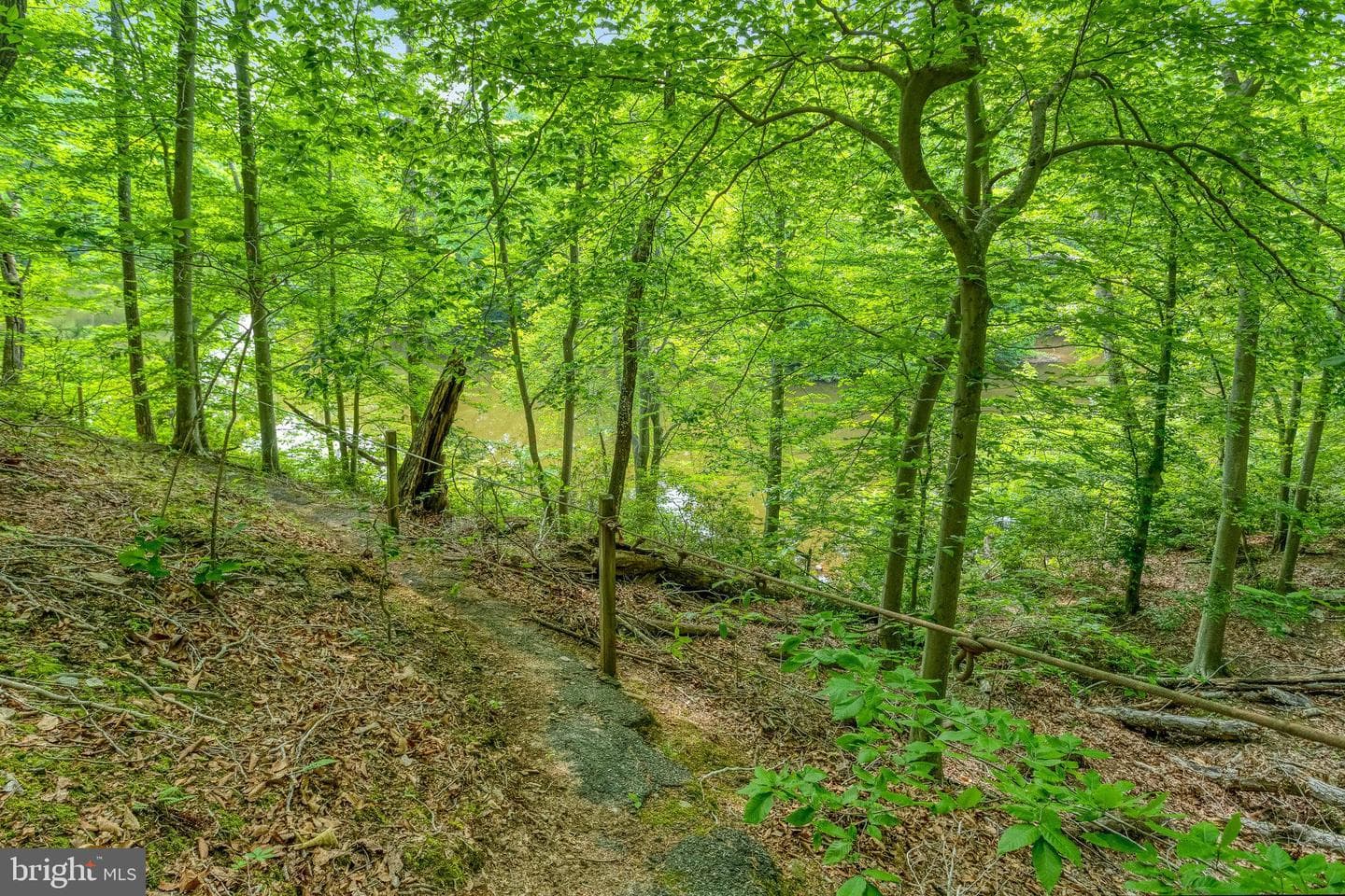 11656 Sandal Wood Lane photo 73