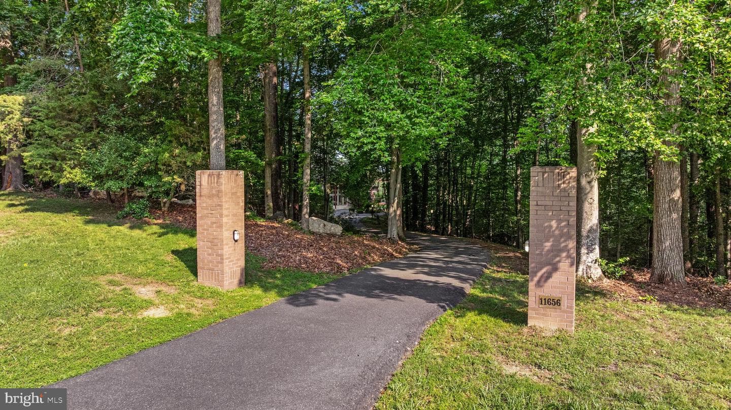 11656 Sandal Wood Lane photo 77