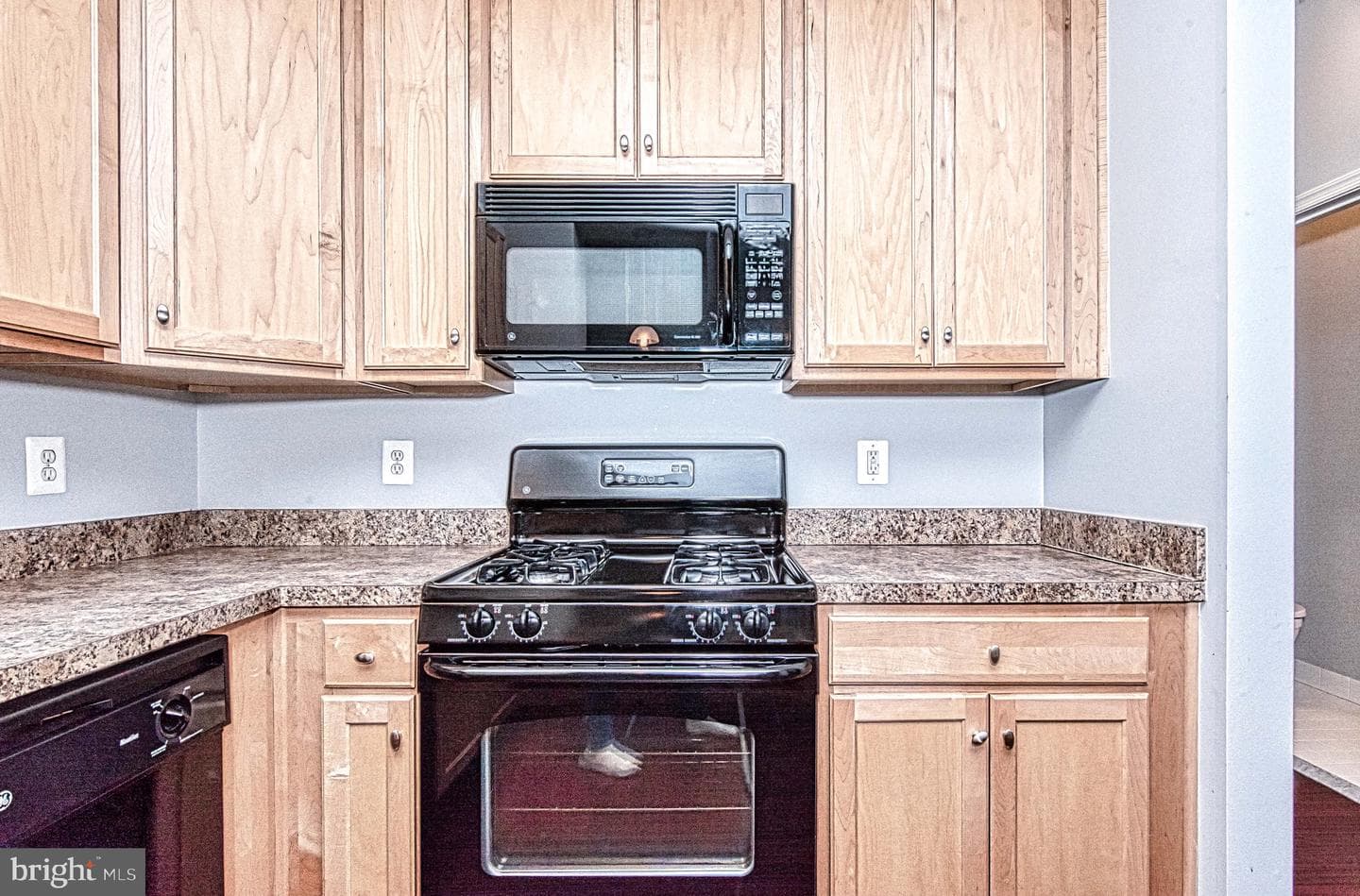 13812 Breezy Ridge Way #101 photo 14