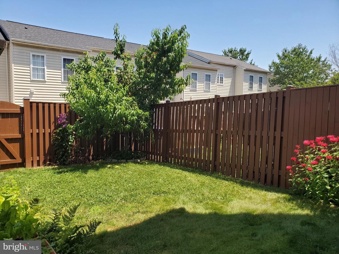 7207 Traphill Way photo 34