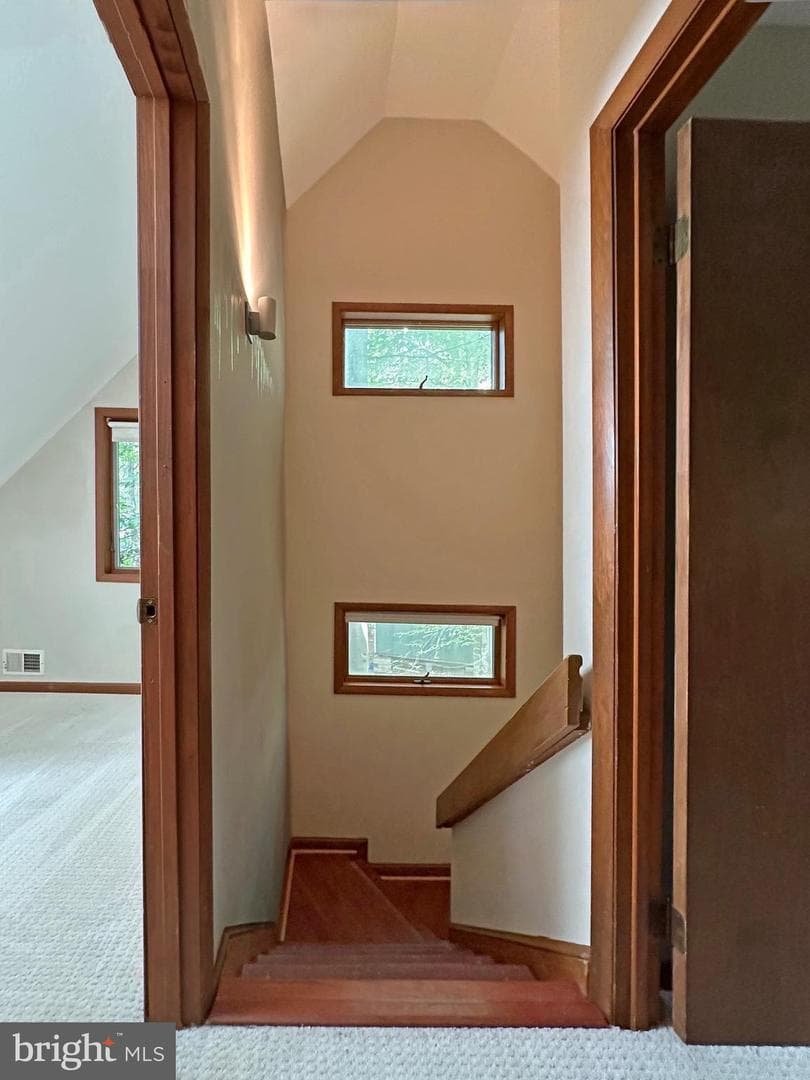 6303 Occoquan Forest Drive photo 57