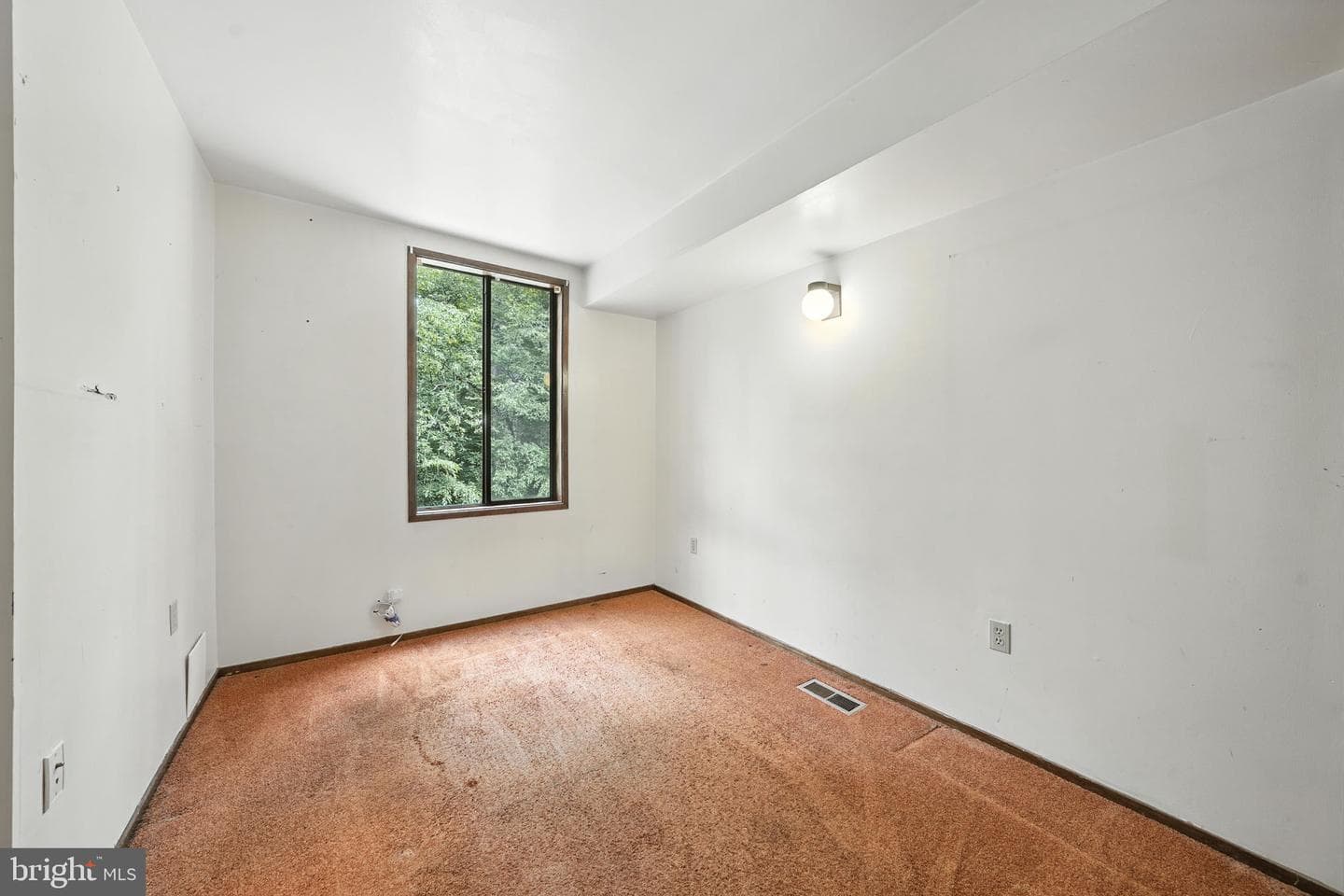 10846 Quail Creek Lane photo 13