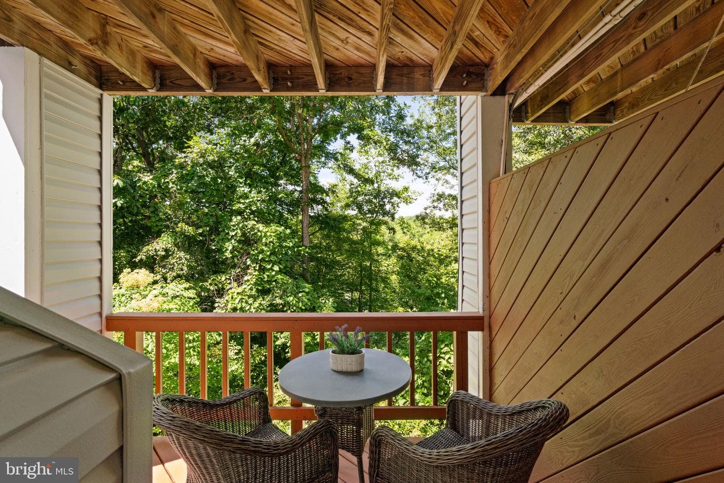 11494 Corinthia Court photo 34