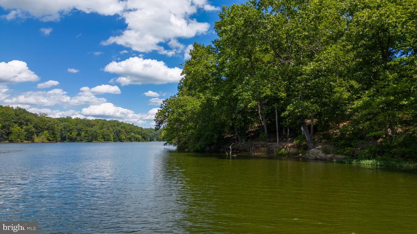 11494 Corinthia Court photo 44