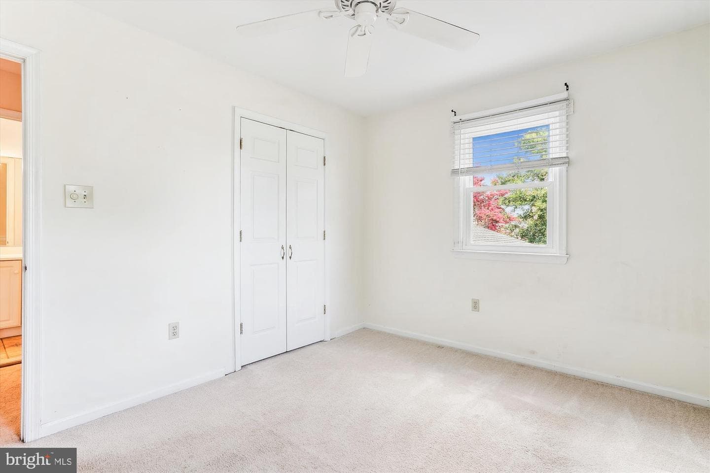4219 High Ridge Road photo 29