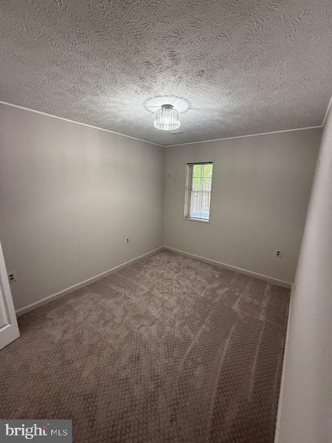 2526 Doverhill Court photo 39