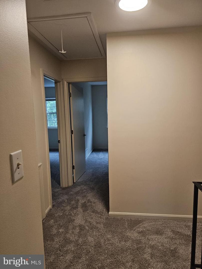 10234 Winchester Court photo 25