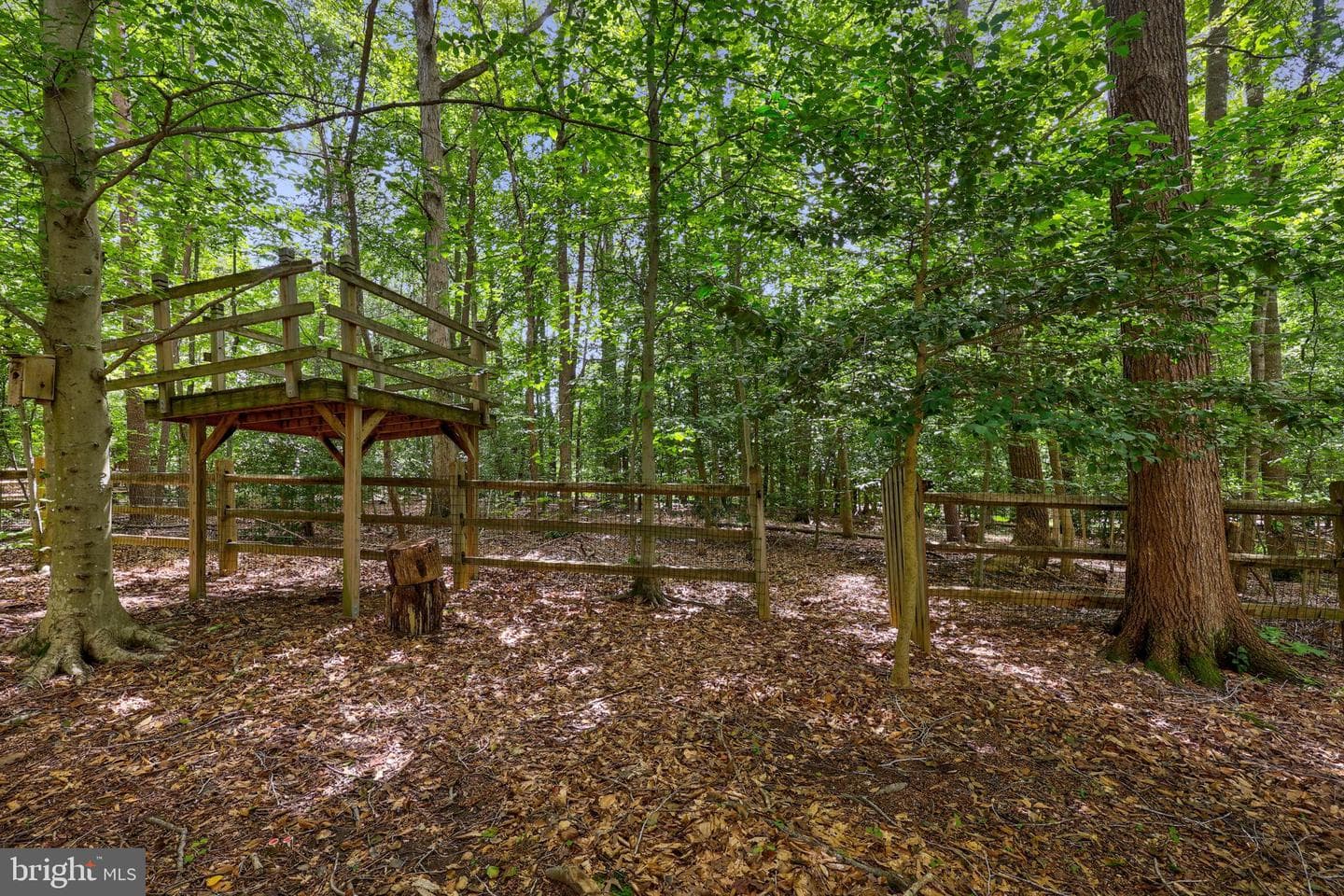 6843 Lochmere Drive photo 41