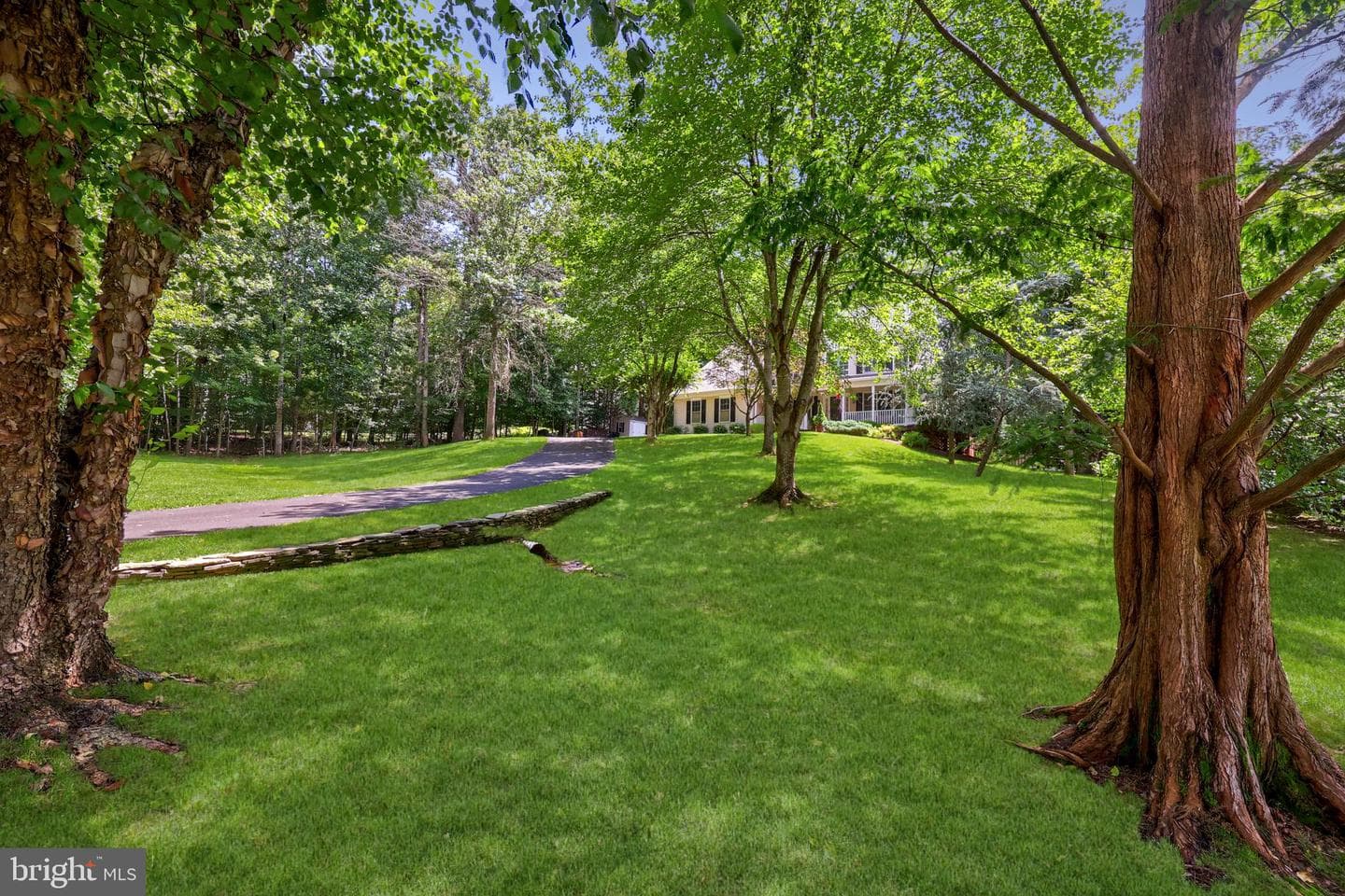 6843 Lochmere Drive photo 45