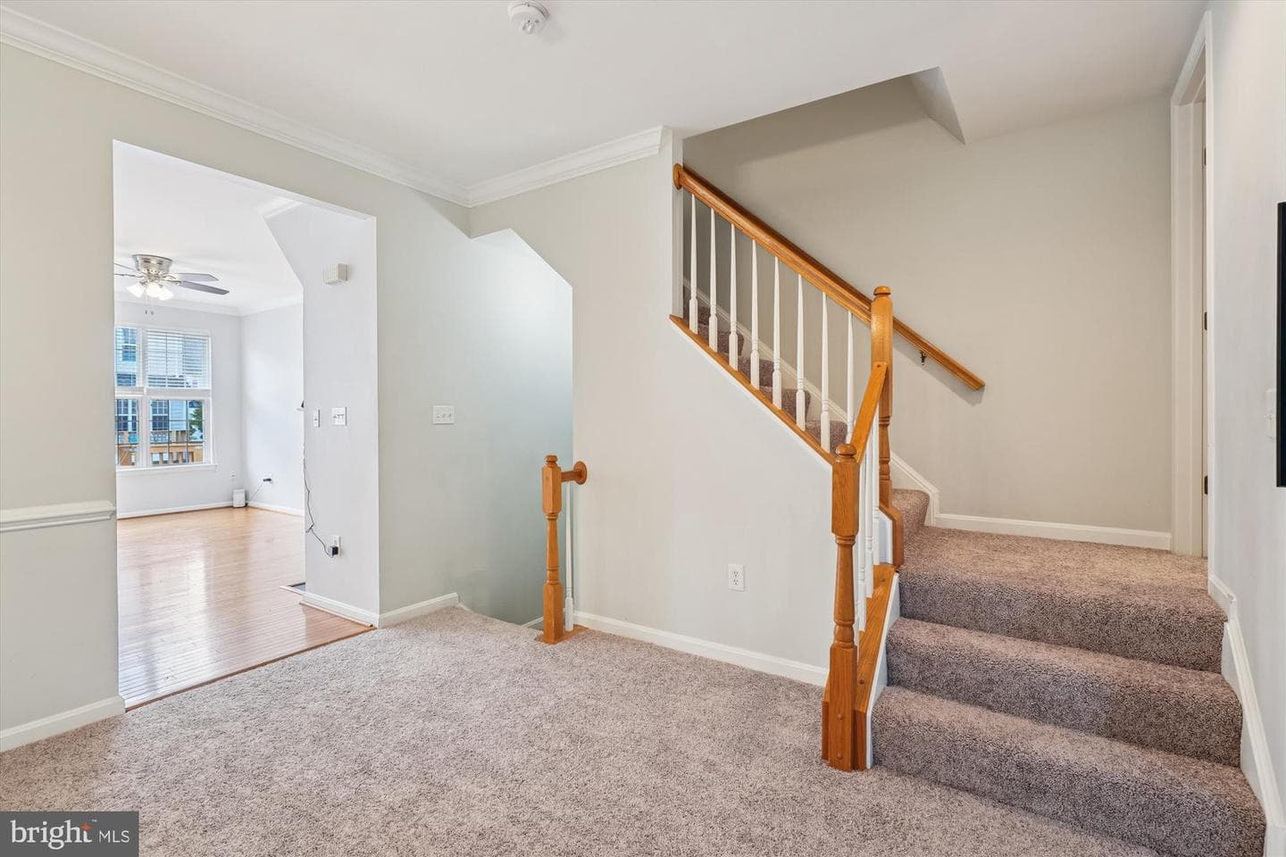 12912 Leatherwood Lane photo 17