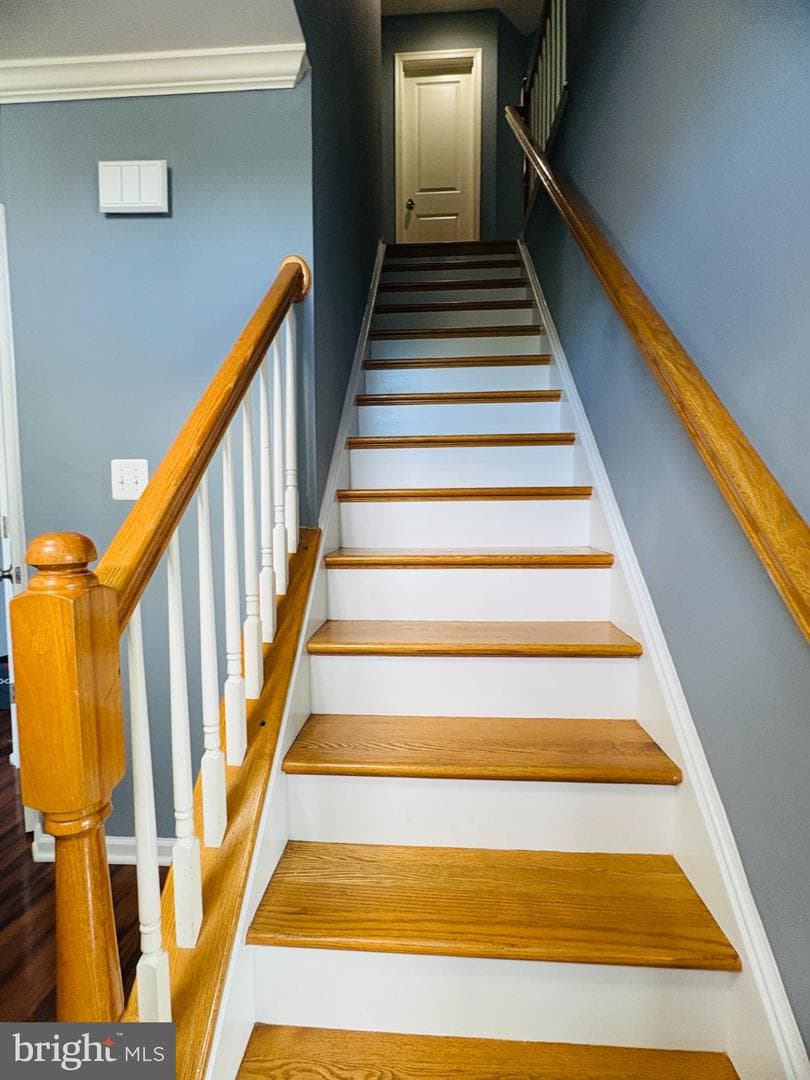 3108 Butterfly Way photo 22