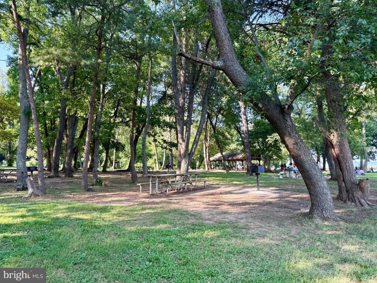 2527 Tabor Court photo 43