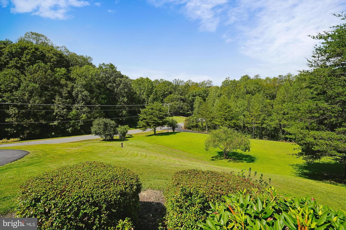 10315 Bear Creek Drive photo 55