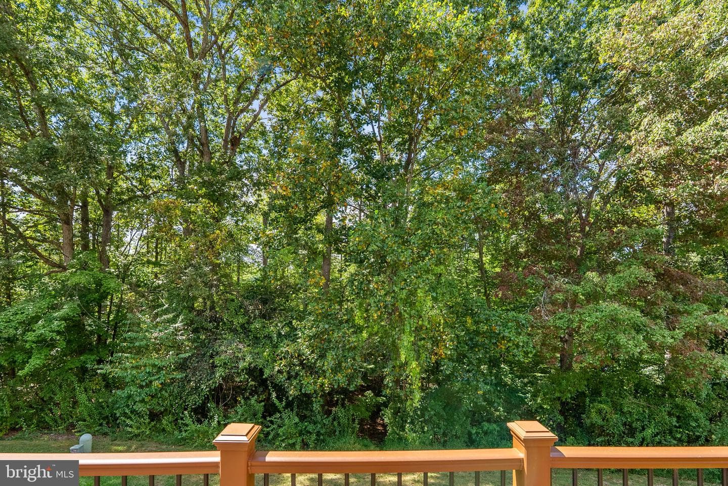 3511 Aviary Way photo 34