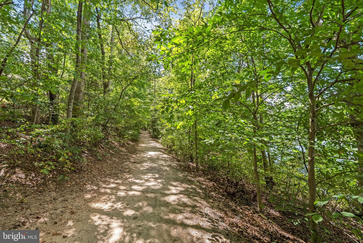 3511 Aviary Way photo 42