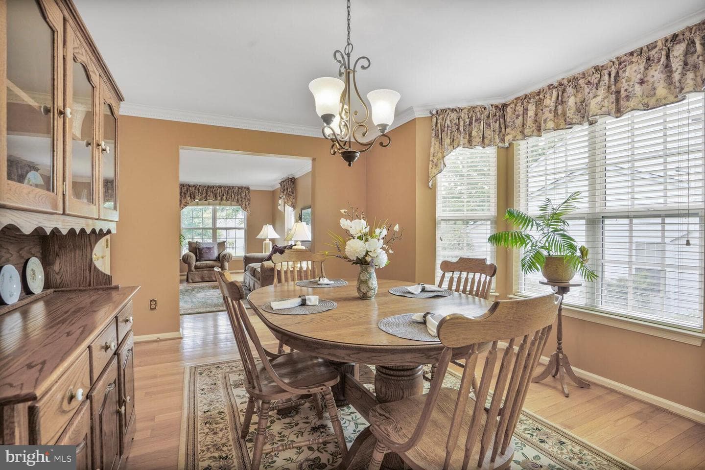 8732 Vanore Place photo 20