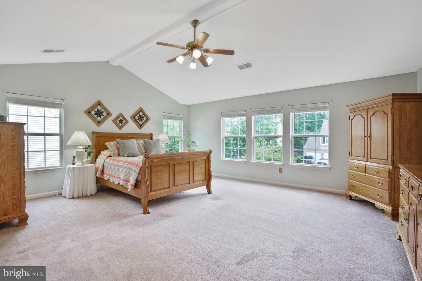 8732 Vanore Place photo 30